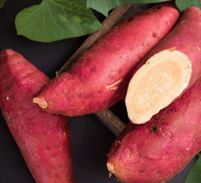 Pet food ingredients