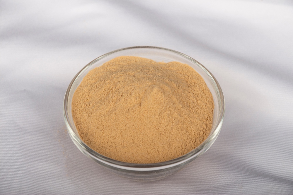 Pregelatinized Potato Flour