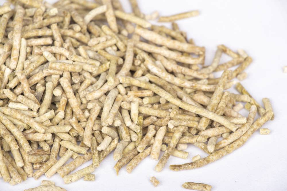 Pregelatinized Rice Flour Pellets
