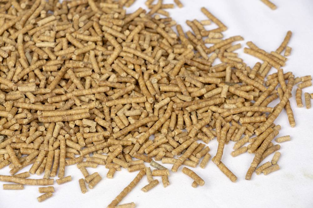 Pregelatinized Corn Flour Pellets