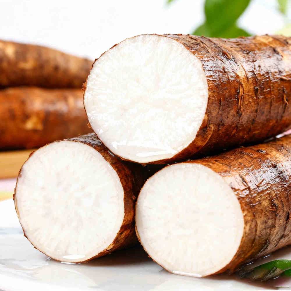 Cassava series